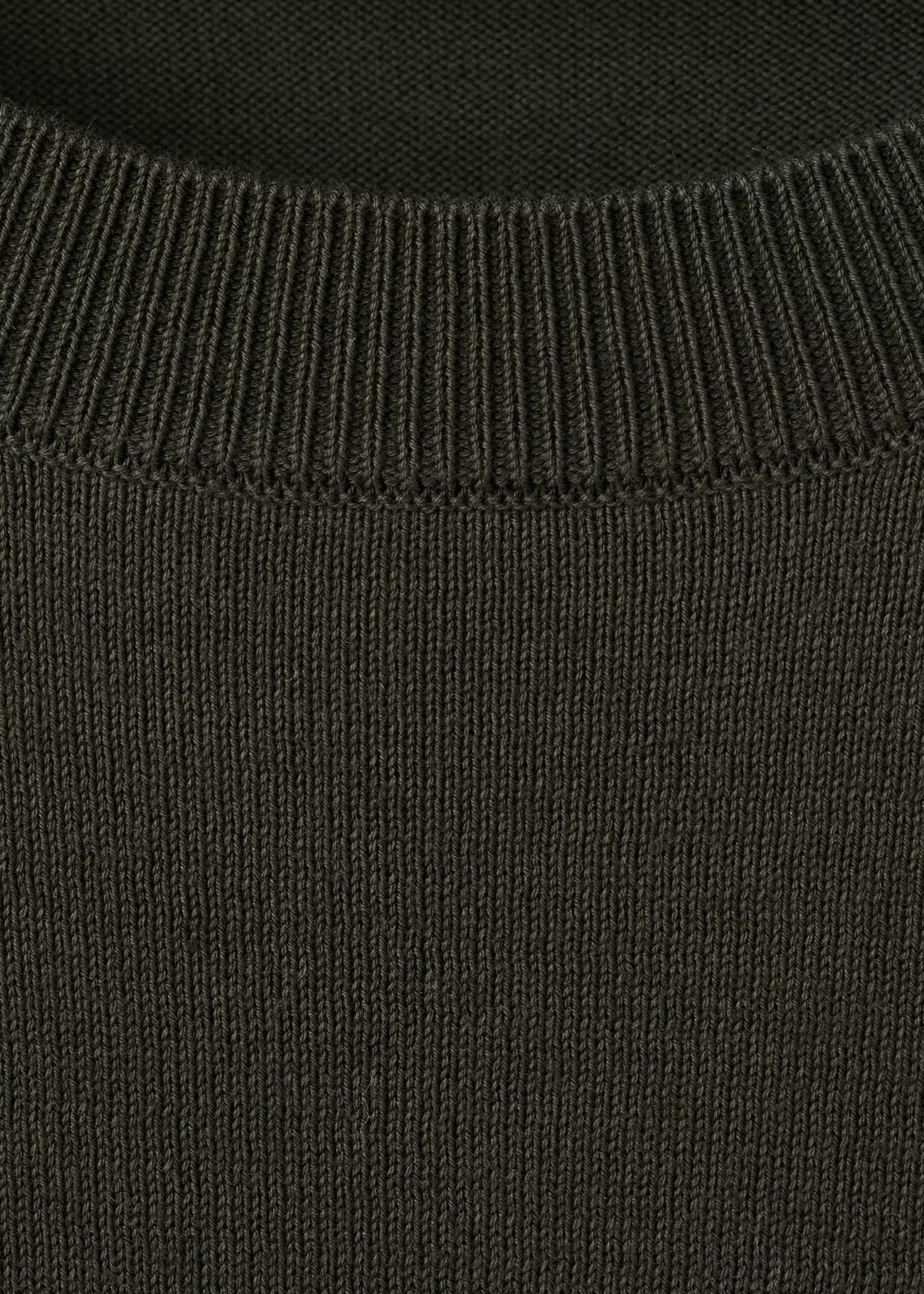 Jersey Cotton T-Shirt